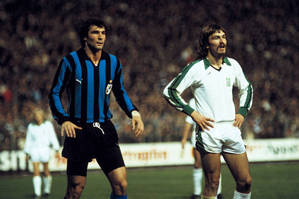 从多纳鲁马 从多纳鲁马