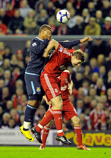 保持稳定的 保持稳定的